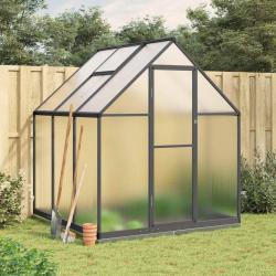 Serre avec cadre de base anthracite 169x169x202 cm aluminium alsavelo