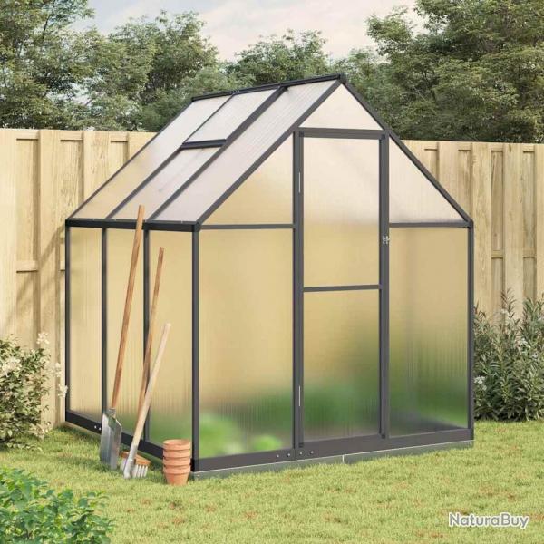 Serre avec cadre de base anthracite 169x169x202 cm aluminium alsavelo