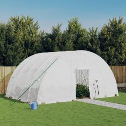 Serre avec cadre en acier blanc 24 m² 6x4x2,85 m alsavelo