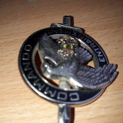 Insigne militaire