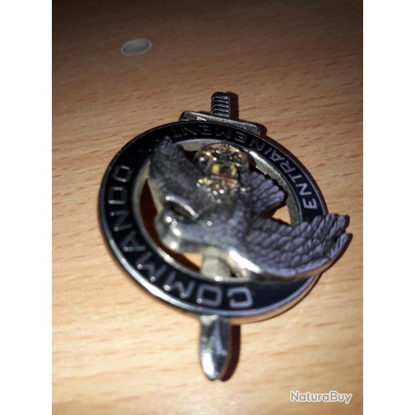 Insigne militaire