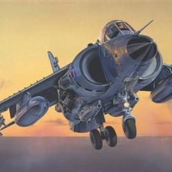 Sea harrier FRS.1 1/72 | Italeri (0000 1661) - Maquette à monter