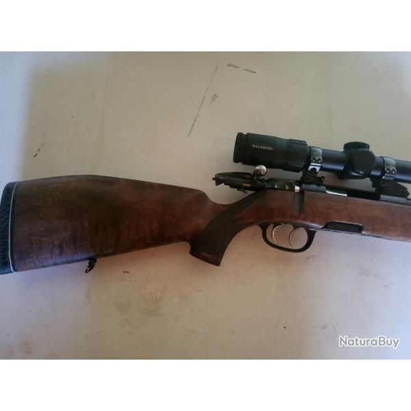 Carabine Steyr mannlicher stuzen 308win