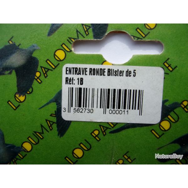 entrave pigeon