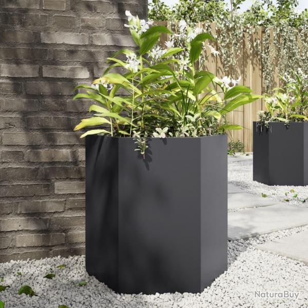 Jardinires 2 pcs noir hexagone 46x40x45 cm acier