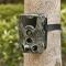 petites annonces chasse pêche : Caméra Chasse Suntekcam HC801A 20MP IP65 Vision Nocturne1080P Etanche Capteur PIR LIVRAISON OFFERTE