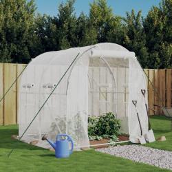 Serre avec cadre en acier blanc 4 m² 2x2x2 m