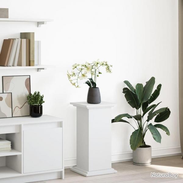 Pidestal avec rangement blanc 31x30x60 cm bois d'ingnierie