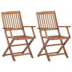 Chaises pliables d'extérieur lot de 2 Bois d'acacia solide