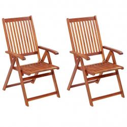 Chaises pliables de jardin lot de 2 Bois solide d'acacia Marron