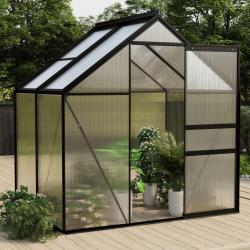 Serre Anthracite Aluminium 2,47 m²