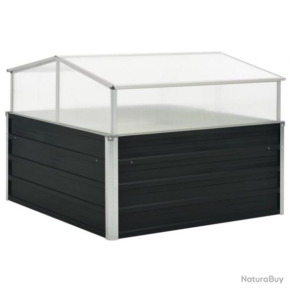 Serre Anthracite 100x100x77 cm Acier galvanis