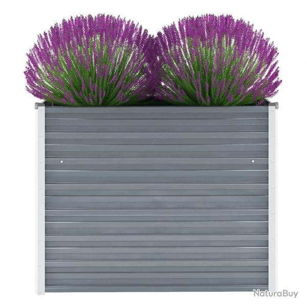 Lit surlev de jardin Acier galvanis 100x40x77 cm Gris