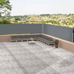 Auvent latéral rétractable Anthracite 117x1200 cm