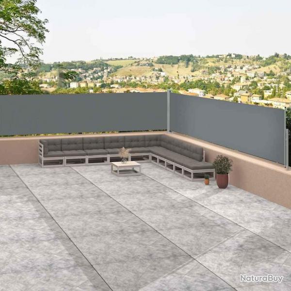 Auvent latral rtractable Anthracite 117x1200 cm