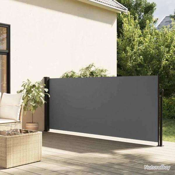 Auvent latral rtractable anthracite 100x500 cm