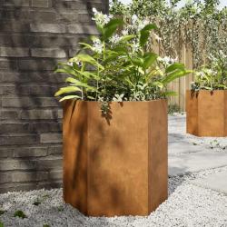 Jardinières 2 pcs hexagone 46x40x45 cm acier patinable