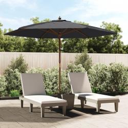 Parasol de jardin avec mât en bois noir 299x240 cm