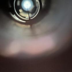 Optique pour carabine 30 m1