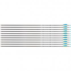 Flèche Avalon Tyro 4.2 en carbone (nouvelles) 1000 29" 1 plume jaune 2 plumes bleues