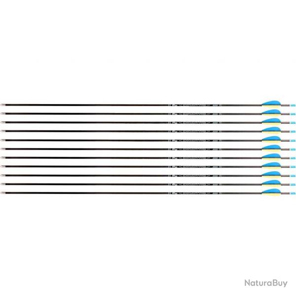 Flche Avalon Tyro 4.2 en carbone (nouvelles) 1000 29" 1 plume jaune 2 plumes bleues