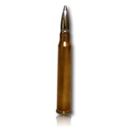 MUNITIONS RWS EVO GREEN CAL 30R BLAZER BTE 20
