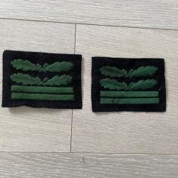 une paire d'attributs de lieutenant allemand ww2