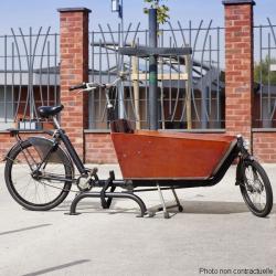 MOTTEZ Arceau Antivol Vélo Cargo coloris corten