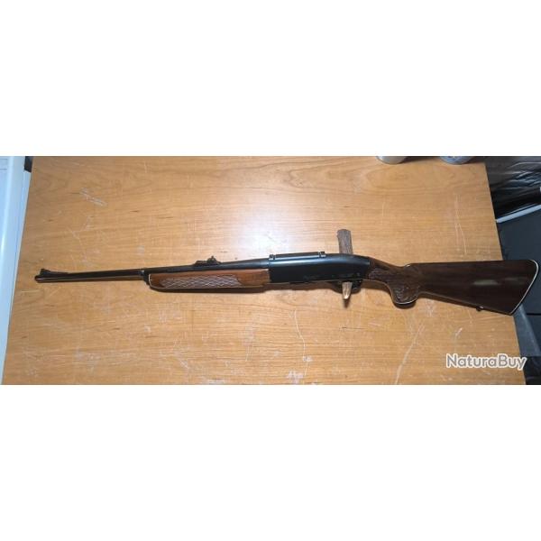 Carabine semi-auto Remington 742 Woodmaster calibre 280 Remington avec point rouge Bushnell trophy