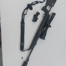 Carabine sauer 303 synchro xt 30.06