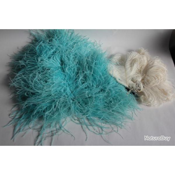 Anciennes Plumes d'autruche