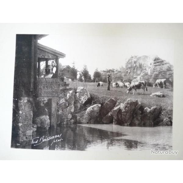 Photo Fred BOISSONNAS 1896 Montagne Agriculture VII Suisse