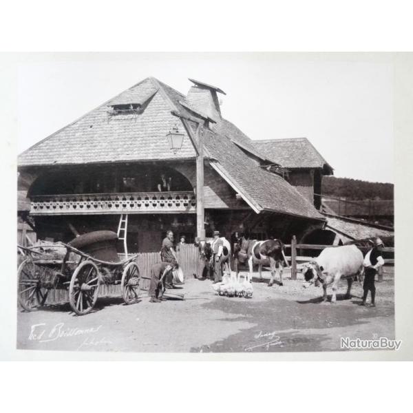 Photo Fred BOISSONNAS 1896 Village Suisse Agriculture XI