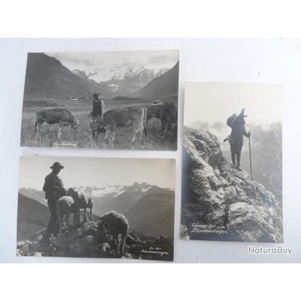 3 CP photo Suisse Berger montagne Bergen Carte Postale