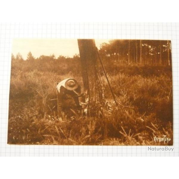 CPA RAMUNTCHO Au pays Landais Mtier Bcheron Carte Postale