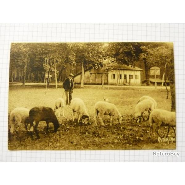 CPA RAMUNTCHO Paysage Landais levage Moutons Berger Carte Postale