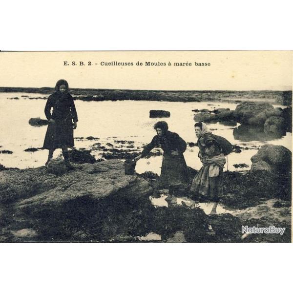 CPA Cueilleuses de Moules  mare basse Bretagne
