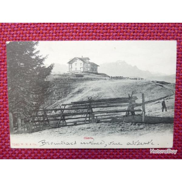 CPA Suisse Appenzell Gbris Gasthaus Restaurant Montagne Carte postale