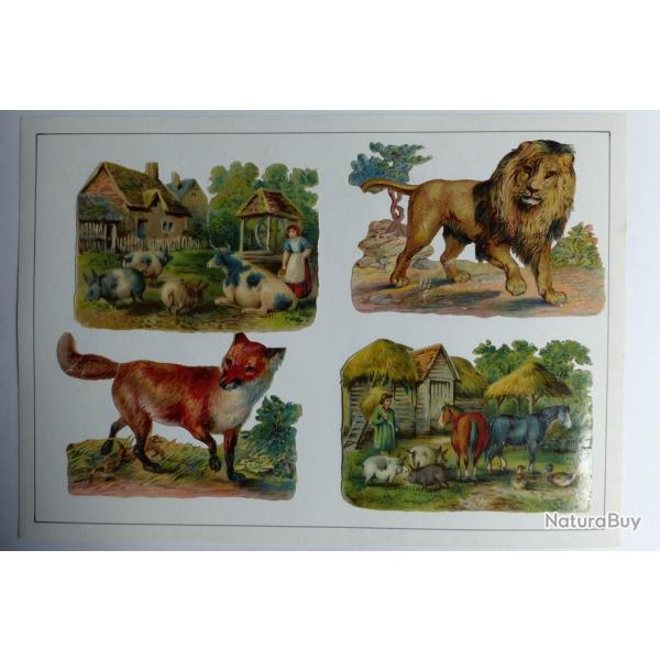 Images chromos gaufrs dcoups animaux de ferme renard lion 1890