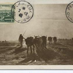 Carte-maximum France n° 469 - Paturage secours national