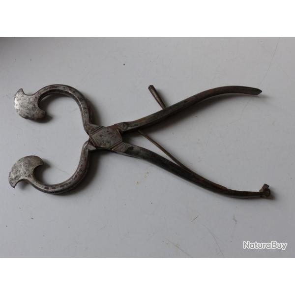 Paire de pinces  sucre en acier XIXe cuisine