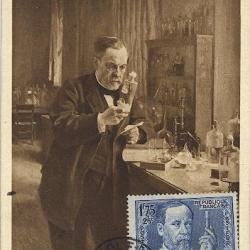 Carte-maximum France n° 385 - Pasteur dans son laboratoire