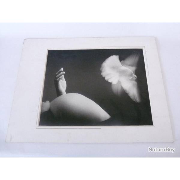 Photo d'Art  Amateur De Pithiviers  Dominique Tuilard 2000