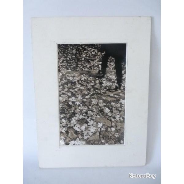 Photo d'Art  Pas d'Automne  Jose Vital Anselmo 2000