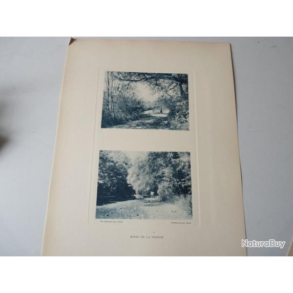 Photos Fred BOISSONNAS Bords De La Versoix