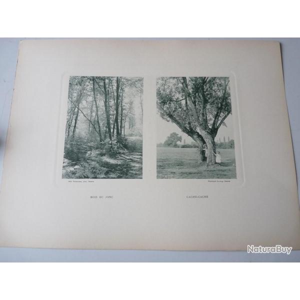 Photos Fred BOISSONNAS Bois Du Jonc - Cache-Cache