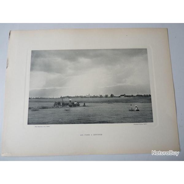 Photo Fred BOISSONNAS Les Foins A Genthod Suisse