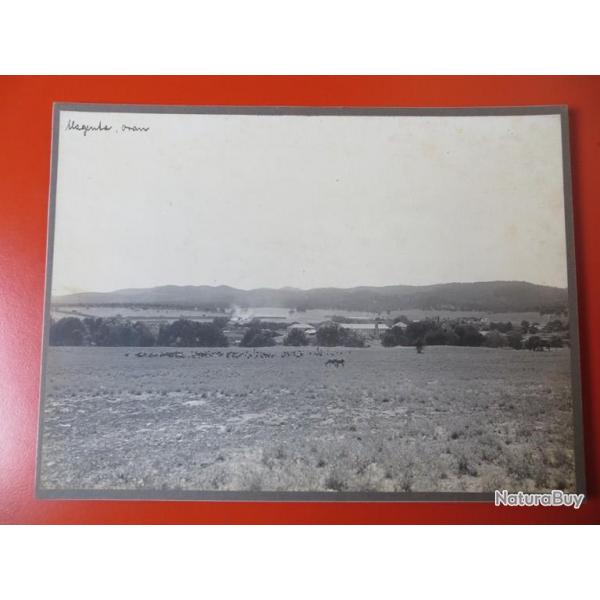 Photo Socit Franaise d'Exploitations Forestires Oran Algrie 1913