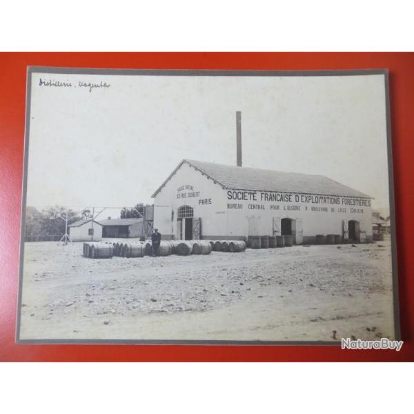 Photo Socit Franaise d'Exploitations Forestires Oran Algrie 1913