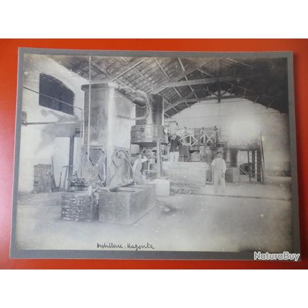 Photo Socit Franaise d'Exploitations Forestires Oran Algrie 1913